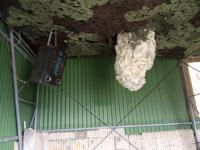 IMG_20240224_153802 (1024x768).jpg
